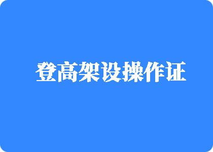 逼操下载登高架设操作证